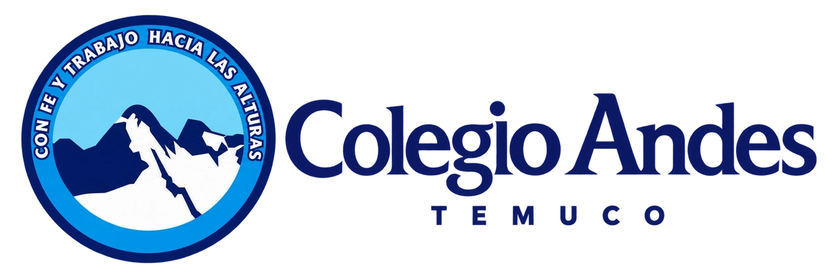 Logo de colegioandestemuco.cl