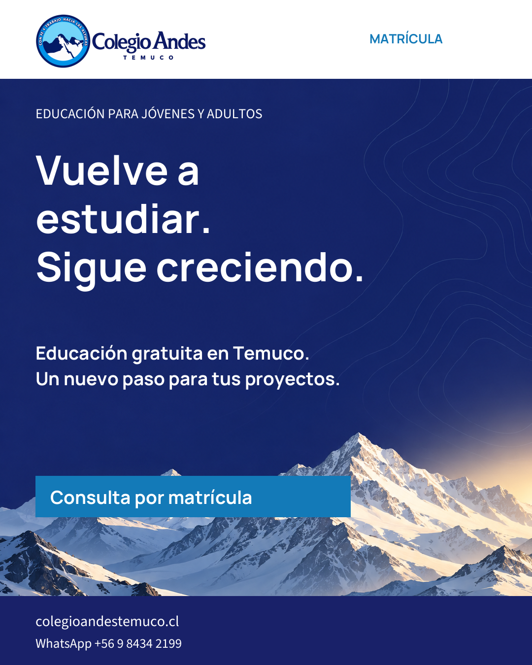Propuesta gráfica de matrícula de Colegio Andes Temuco